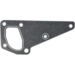 Vandens siurblio tarpiklis ACW3526800