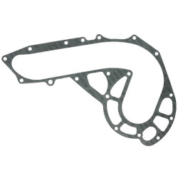 Vandens siurblio korpuso tarpiklis 3136766R4