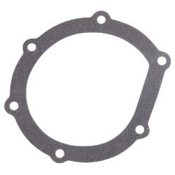 Vandens siurblio tarpiklis SW-400 2940PL601218