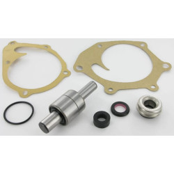 Remonto komplektas vandens siurblys tinka DB K965888N