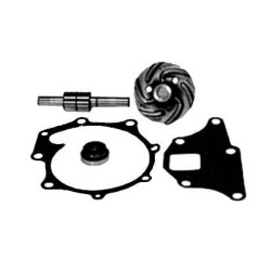 Vandens siurblio remonto komplektas VPE2009