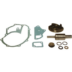 Vandens siurblio remonto komplektas VPE2024