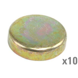 Šerdies kištukas (x10) VPC4601