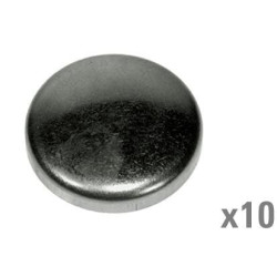 Šerdies kištukas (x10) VPC4616