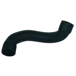 Radiatoriaus žarna 81805637N