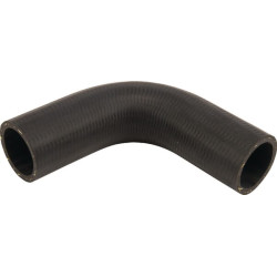 Radiatoriaus žarnos dugnas 186200050160