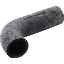 Radiatoriaus žarna 198200050040