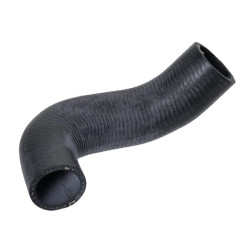 Radiatoriaus žarna 186207010020