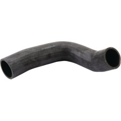 Radiatoriaus žarnos dugnas 312200050070