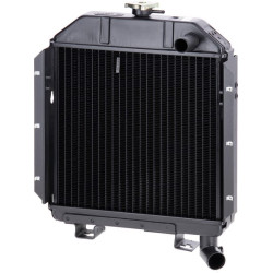 Radiatorius tinka Case IH 3131579R91N