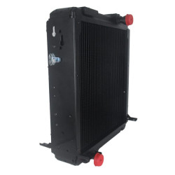 Radiatorius 3781116M1N