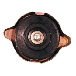 Alyvos pildymo angos dangtelis 81717845N