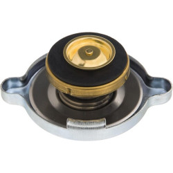 Radiatoriaus dangtelis 133700530706N