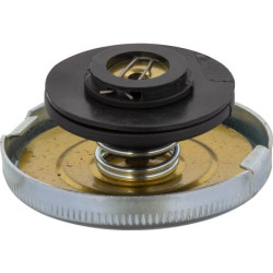 Radiatoriaus dangtelis NH 81711544N