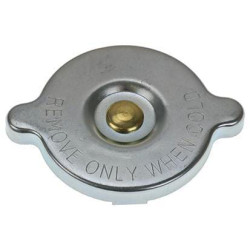 Radiatoriaus dangtelis VPE3266