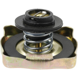 Radiatoriaus dangtelis RC15001N