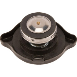 Radiatoriaus dangtelis NH 9966958N