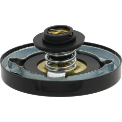 Radiatoriaus dangtelis tinka JD AT29054N