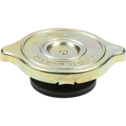 Radiatoriaus dangtelis RC15006N