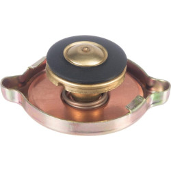 Radiatoriaus dangtelis V30247600