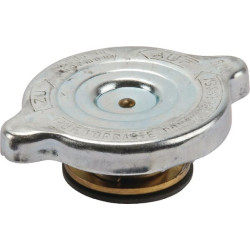 Radiatoriaus dangtelis 0006592221