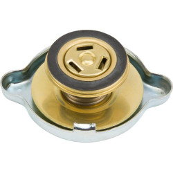 Radiatoriaus dangtelis 0021935750