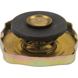 Radiatoriaus dangtelis 137700530702