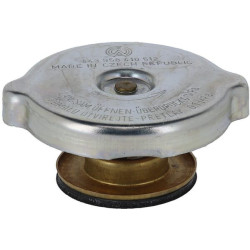 Radiatoriaus dangtelis 53013913