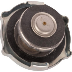 Radiatoriaus dangtelis RE62985