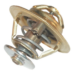 Termostatas NH 4823226N