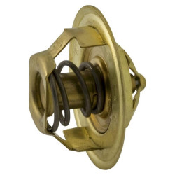 Termostatas, 4 cilindrų 26902485C021