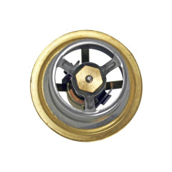 Termostatas AV100934