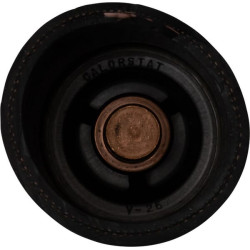 Termostatas 4556746N