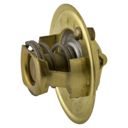 Termostatas, 3 cilindrų 26902485C022