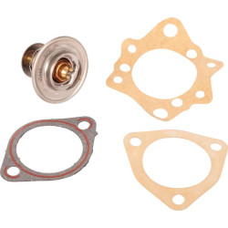 Termostatas 743000631N