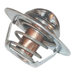 Termostatas NH 83913875N