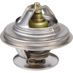 Termostatas 04224846