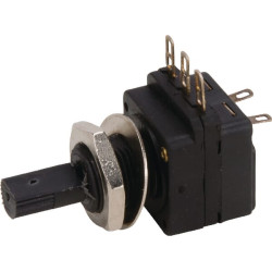 Termostatas 6005014699