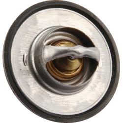 Termostatas 0011381470