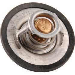 Termostatas 0011381470