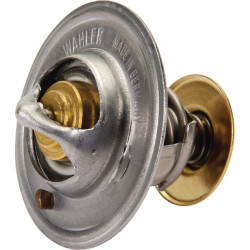 Termostatas 6005031321