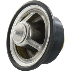 Termostatas DZ100553