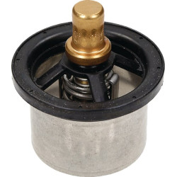 Termostatas RE554015