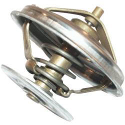 Zetor termostatas 89005904
