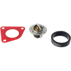 Maxxum termostatas 47616858