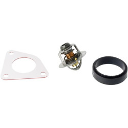 Maxxum termostatas 47616858