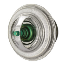 Termostatas F119200050040