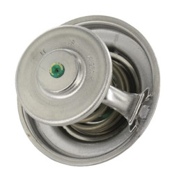 Termostatas F119200050040