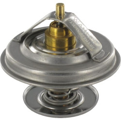 Termostatas F824200050060