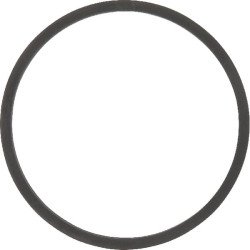 Termostato tarpiklis F119200050050